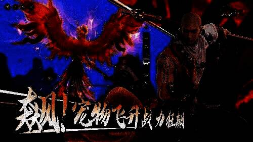 宠物飞升界面展示，屏幕上显示飞升前后属性对比及内丹装配槽位