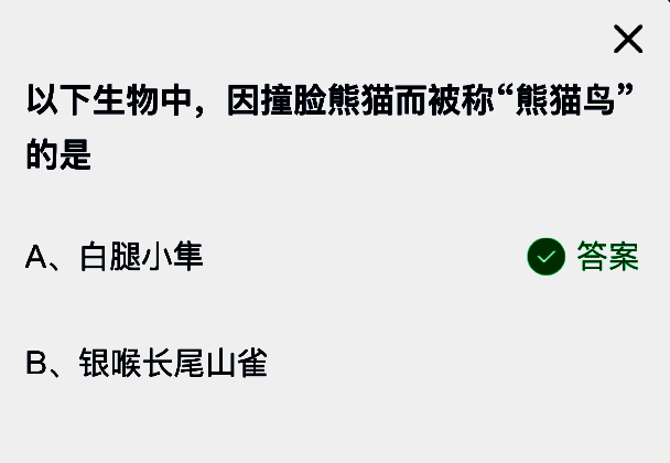 白腿小隼站立姿态，展示蓝黑羽毛与尾部白点，对比熊猫图案突出相似性
