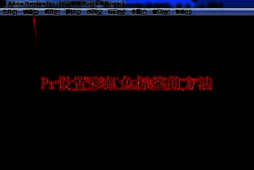 Adobe Premiere Pro界面展示，时间轴上不同素材带有彩色标签，整体布局整洁清晰