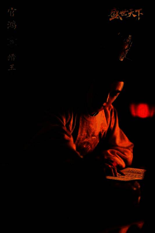 主角身穿宫女服饰站在长廊尽头，月光洒落，眼神坚定望向前方，氛围神秘而紧张