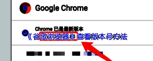 开发者工具界面截图，展示如何在Application面板中查看网站Cookie信息
