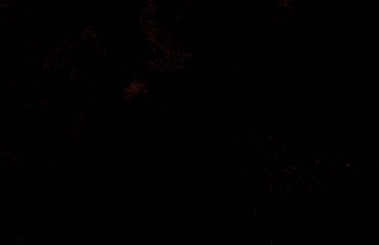 密室内部场景，中央摆放着宝箱，四周书架陈列古籍，地面布满机关痕迹