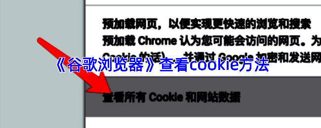 谷歌浏览器开发者工具中查看Cookie的界面，右侧展示具体Cookie键值对信息