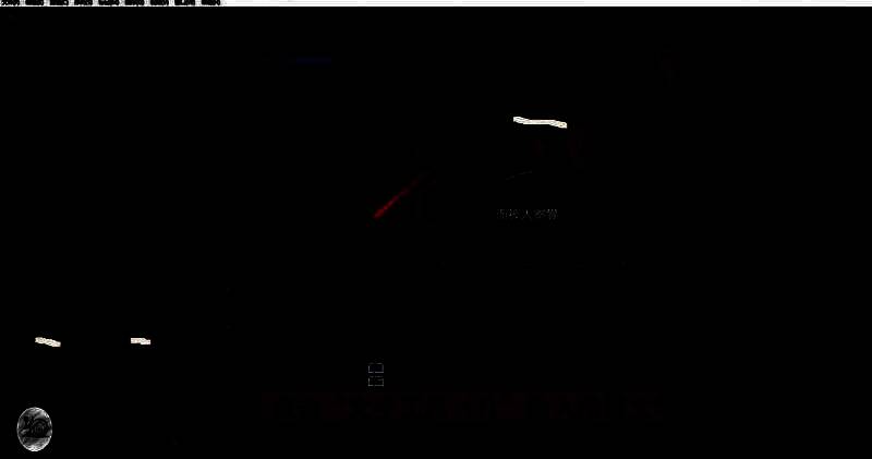 预览窗口显示已输入的文字，位置居中，字体清晰可见