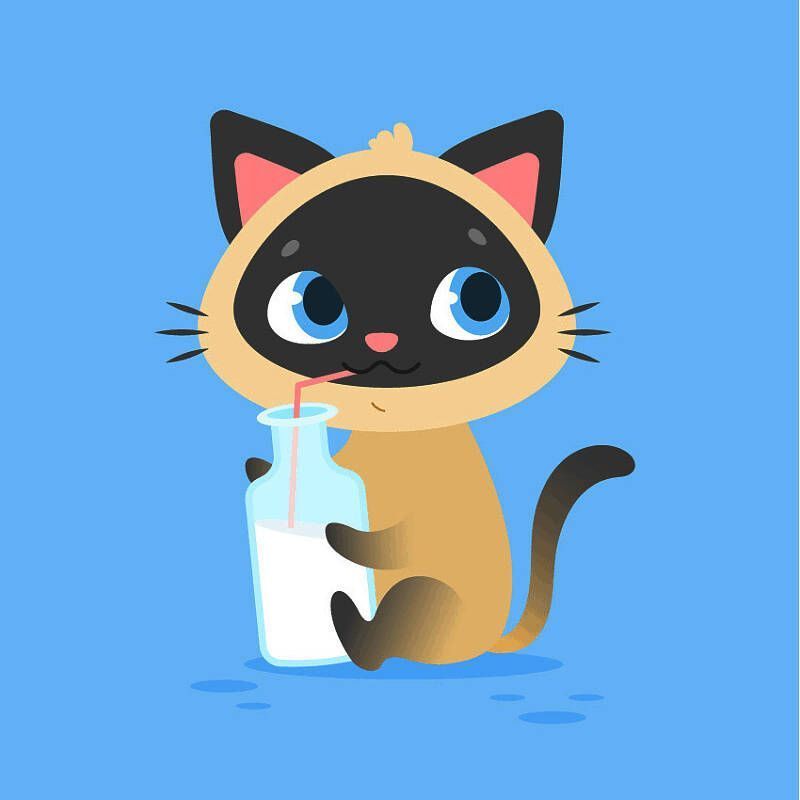 最终完成图，卡通暹罗猫双手捧着奶昔瓶，眼神灵动，嘴角上扬，背景简洁突出主体