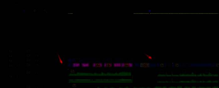 Premiere中使用Ctrl+M快捷键弹出导出设置窗口的操作界面截图