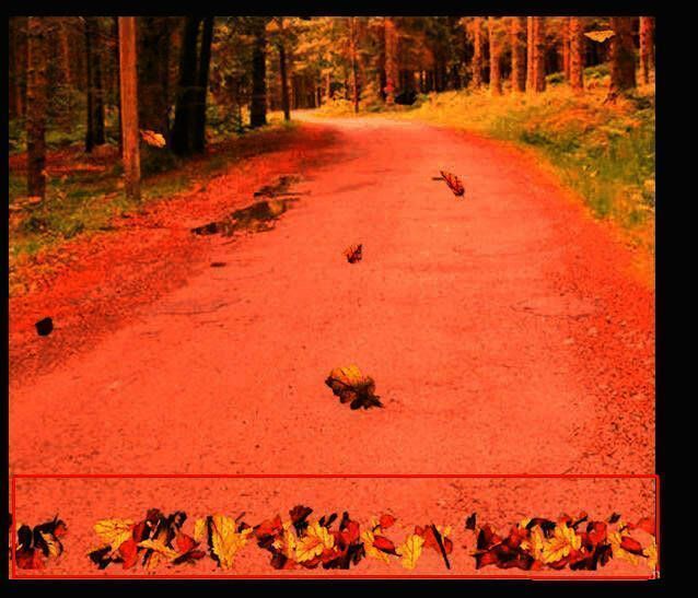 视频画面中落叶边缘清晰可见，与背景之间存在明显割裂感