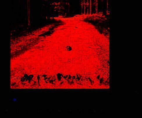 处理后的画面中落叶边缘呈现自然模糊，整体视觉更加和谐