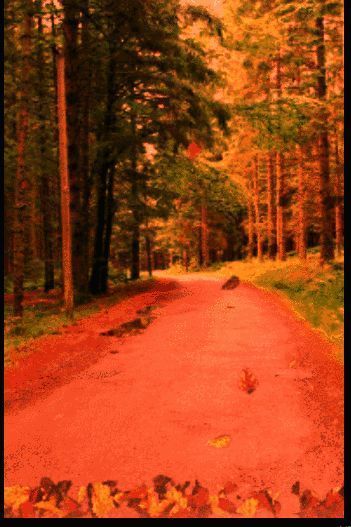 GIF动画展示从原始生硬边缘到虚化融合的动态变化过程