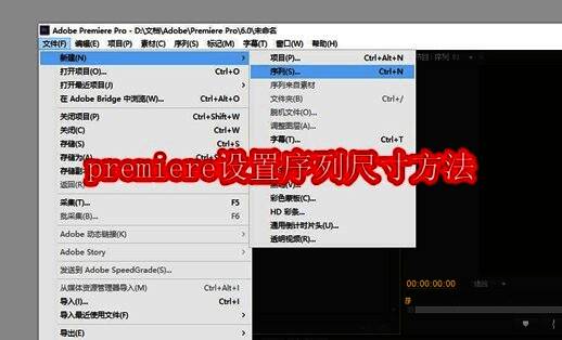 Adobe Premiere软件界面展示，包含时间轴、预览窗口和工具栏的典型工作布局