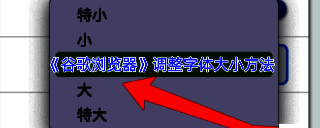 谷歌浏览器设置页面示意图，界面中高亮显示‘外观’选项区域