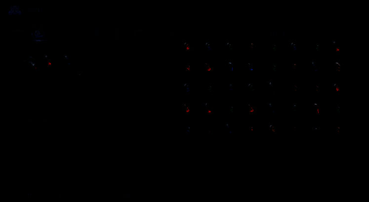 玩家携带的遗物配置界面截图，展示了多种功能性遗物组合，适用于不同战斗场景