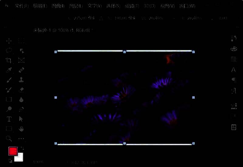 将一张风景图片拖入PS文档并调整大小以覆盖波浪形状
