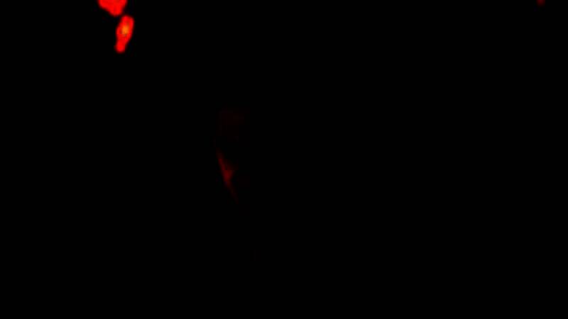 战斗特写画面，科恩跃入空中斩击巨型吸血鬼首领，技能特效华丽，光影细节逼真