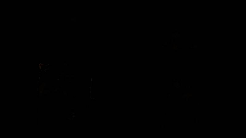 游戏内剧情选择界面，以动态卡牌形式呈现对话选项与分支路径