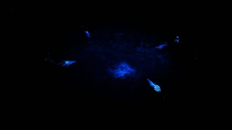 荒野高台上，艾伯莱希特站立于光芒之中，下方人群跪拜，画面充满宗教仪式感