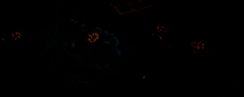 《噩梦边境》游戏主视觉图，展现破败的西部小镇街道，昏黄雾气弥漫，建筑残破，远处隐约可见扭曲的怪物剪影