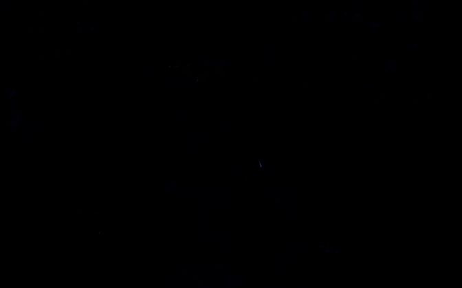 玩家与NPC迟月在桃花轩中对话的场景，周围花瓣飘落，氛围唯美