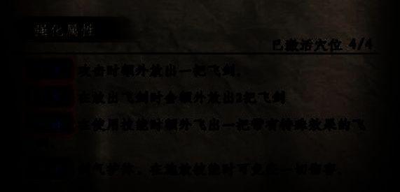 玩家角色立于山巅，手持长剑，背后飞剑环绕，气势凛然，尽显宗师风范