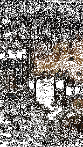 角色组队探索城镇街道的动态画面，阳光洒落，NPC互动生动，氛围温馨