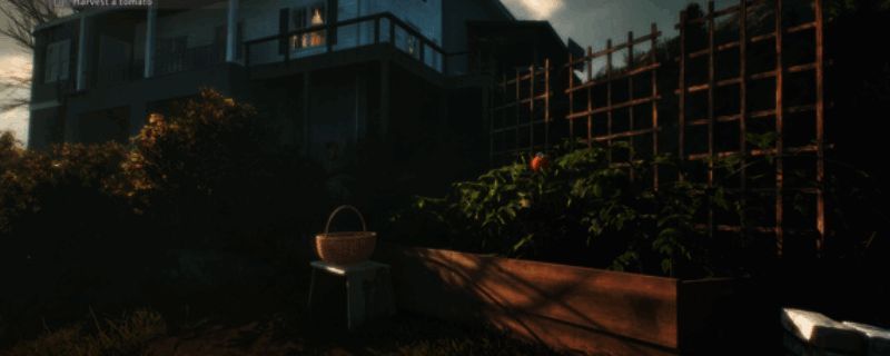 《绯花绽放》游戏主视觉图，画面中一名角色站在盛开的花田前，背景是温暖的夕阳与小木屋，整体氛围宁静治愈