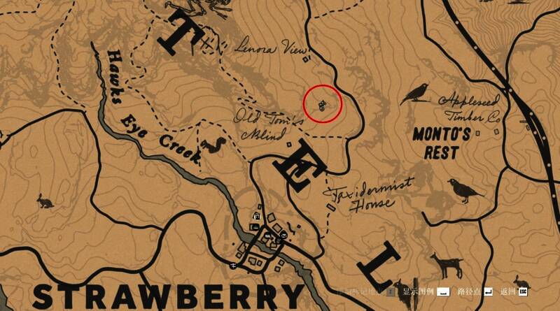 石雕表面刻有双螺旋结构，类似DNA分子模型，工艺非时代所及