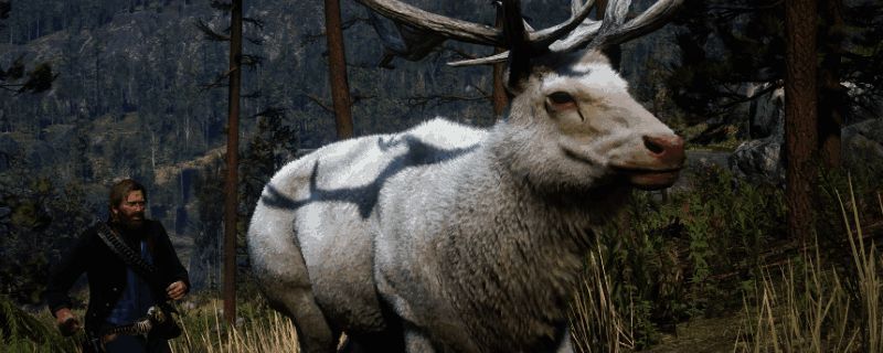 《荒野大镖客2》游戏地图中标注的传说麋鹿大致区域，周围为茂密森林地形