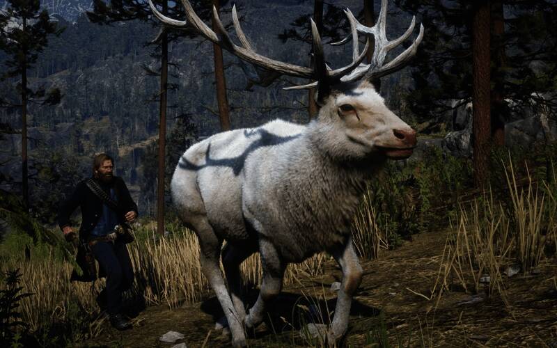 全身泛白的传说麋鹿在阳光斑驳的丛林中站立，周围树叶摇曳，光影交错