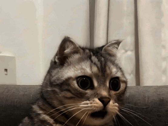 《无尽的拉格朗日》游戏内舰队在星空背景下展开激烈交战，光束与爆炸特效交织成绚丽画面