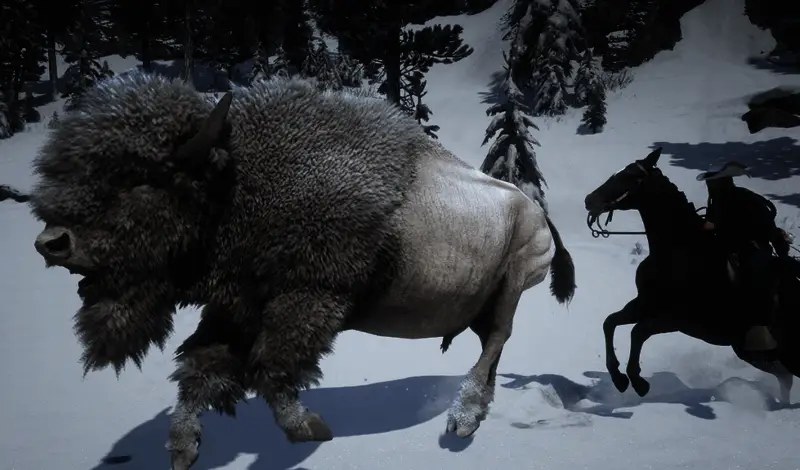 主角亚瑟持狙击枪瞄准远处白色野牛的 gameplay 画面，阳光洒在雪白皮毛上，细节清晰