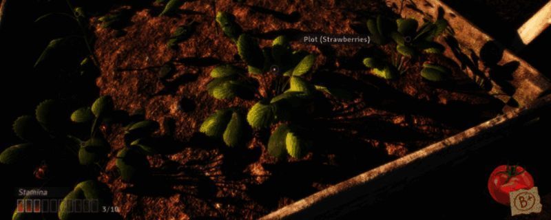 《绯花绽放》游戏画面展示，一片盛开的粉色花田中，主角静静伫立，背景是温暖的夕阳与木屋，整体氛围宁静而治愈