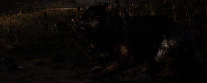 《荒野大镖客2》地图中标记的传说狼出没区域，位于安巴里诺的格里兹里与科托拉清泉附近