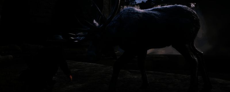 传说驼鹿伫立在瀑布旁的森林边缘，阳光透过树梢洒在它白色的鹿角上，周围雾气缭绕，宛如神迹