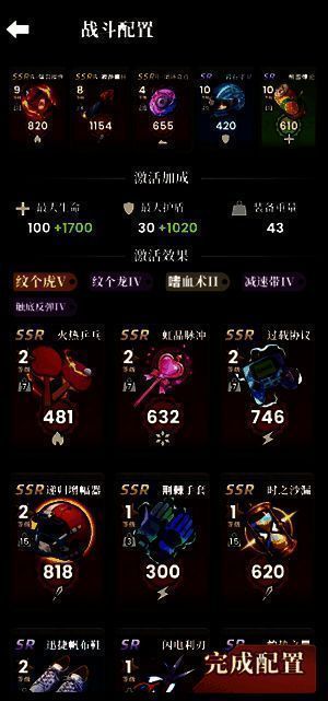 装备界面截图，显示爆裂榴弹、寂静癫狂与龙虎纹饰品的组合搭配