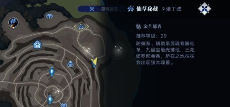 金芒郁香生长在天魂矿山右上角石壁旁的金色芳香植物