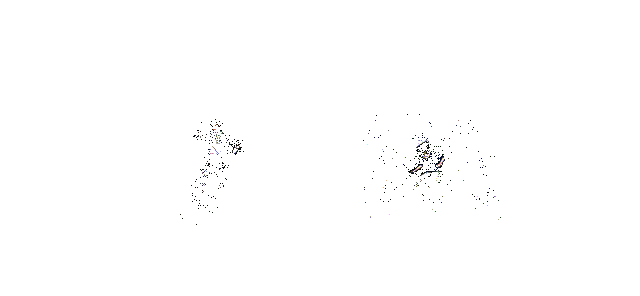 奥义动画GIF，雷遁·网蜘蛛动态释放过程，视觉冲击强烈