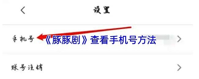 退出登录操作示意图，界面显示设置页底部的‘退出登录’红色按钮