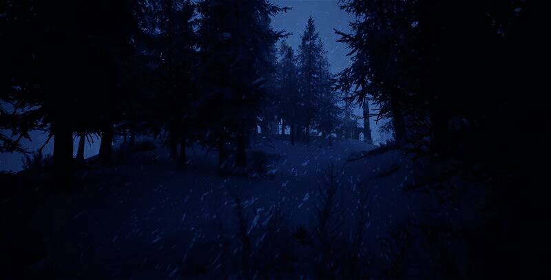 暴风雪席卷森林，一名玩家披着毛皮斗篷艰难前行，周围树木被冰雪覆盖