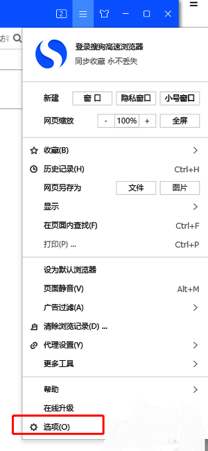 下拉菜单中高亮显示‘选项’条目，文字清晰可见，背景为浅蓝色选中状态