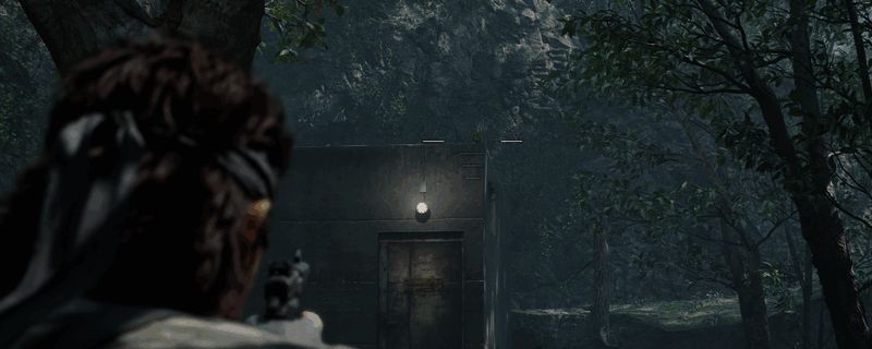 《合金装备3：重制版》中一只色彩斑斓的鹦鹉栖息在丛林树枝上，周围是茂密的热带雨林环境