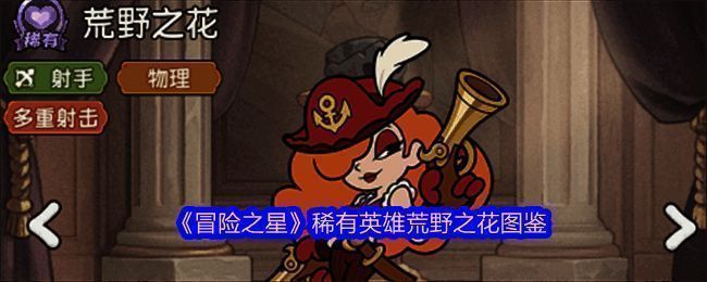 荒野之花英雄立绘，身着西部风格皮甲，手持双枪，眼神凌厉，背景为荒漠落日