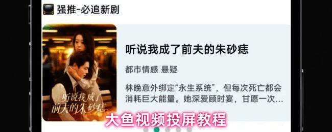 大鱼视频应用界面展示，主页面清晰呈现搜索栏与推荐内容