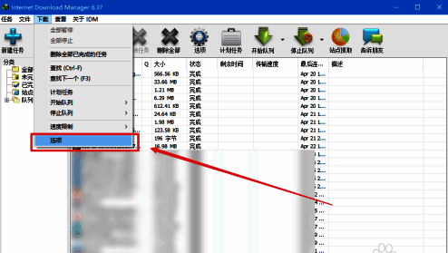 IDM下载菜单展开状态，鼠标悬停在‘选项’按钮上