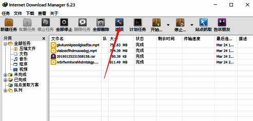 IDM软件主界面，顶部菜单栏显示‘选项’按钮位置