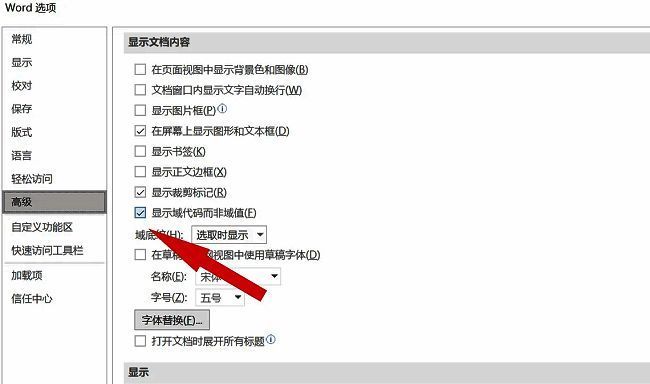高级设置中‘显示域代码而非域值’选项被勾选，说明此设置导致页码乱码