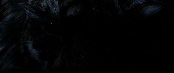 游戏科学团队LOGO与《黑神话：钟馗》标题并列展示，背景为水墨风格的钟馗剪影