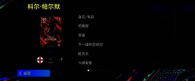 帕尔默在比赛中完成精彩进球，左脚推射入网，队友冲上前庆祝，现场观众沸腾