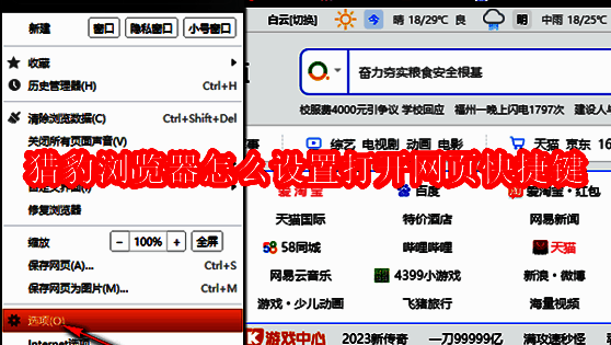 猎豹浏览器主界面展示，界面简洁清晰，突出浏览器操作环境
