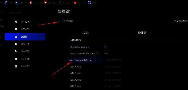 启用快捷键已勾选，功能栏中输入网址，展示具体填写示例