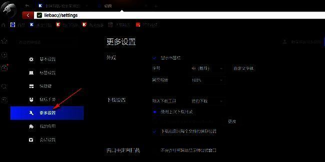 猎豹浏览器更多设置选项界面截图